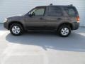 2007 Dark Stone Metallic Ford Escape XLS  photo #6