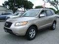 2007 Golden Beige Hyundai Santa Fe GLS  photo #1