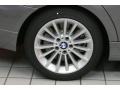 2011 Space Gray Metallic BMW 3 Series 335i Sedan  photo #17