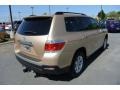 Sandy Beach Metallic - Highlander V6 Photo No. 5