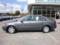 Willow Gray - Sonata GLS Photo No. 2