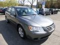 Willow Gray - Sonata GLS Photo No. 7
