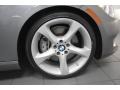 2011 BMW 3 Series 335i Convertible Wheel and Tire Photo