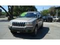 Silverstone Metallic - Grand Cherokee Laredo Photo No. 7