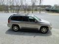 Pewter Metallic - Envoy SLT 4x4 Photo No. 5
