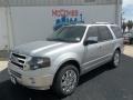 2013 Ingot Silver Ford Expedition Limited  photo #2