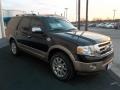2013 Tuxedo Black Ford Expedition King Ranch  photo #9