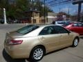Sandy Beach Metallic - Camry XLE Photo No. 11