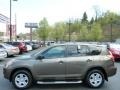 Pyrite Metallic - RAV4 I4 4WD Photo No. 2