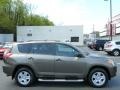Pyrite Metallic - RAV4 I4 4WD Photo No. 10