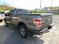 2013 Sterling Gray Metallic Ford F150 STX Regular Cab 4x4  photo #5