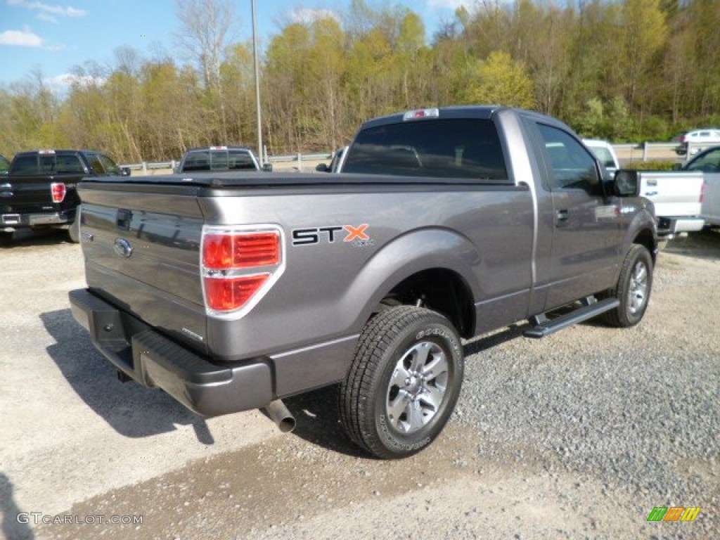 Sterling Gray Metallic 2013 Ford F150 STX Regular Cab 4x4 Exterior Photo #80304825