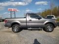 2013 Sterling Gray Metallic Ford F150 STX Regular Cab 4x4  photo #8