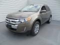 2013 Mineral Gray Metallic Ford Edge SEL  photo #9