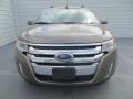 2013 Mineral Gray Metallic Ford Edge SEL  photo #10