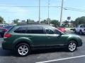 2013 Cypress Green Pearl Subaru Outback 2.5i Limited  photo #6