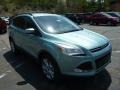 2013 Frosted Glass Metallic Ford Escape SEL 2.0L EcoBoost 4WD  photo #1