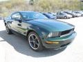 2008 Highland Green Metallic Ford Mustang Bullitt Coupe  photo #5