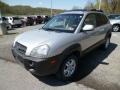 Sahara Silver - Tucson GLS V6 4x4 Photo No. 3