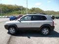 Sahara Silver - Tucson GLS V6 4x4 Photo No. 4