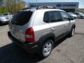 Sahara Silver - Tucson GLS V6 4x4 Photo No. 7