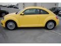 Yellow Rush - Beetle 2.5L Photo No. 4