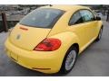 Yellow Rush - Beetle 2.5L Photo No. 7