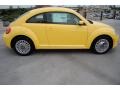 Yellow Rush - Beetle 2.5L Photo No. 8