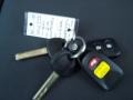 Bright Silver - Sorento LX Photo No. 20
