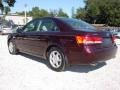 Dark Cinnamon - Sonata GLS V6 Photo No. 3