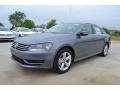 Platinum Gray Metallic 2013 Volkswagen Passat 2.5L SE Exterior