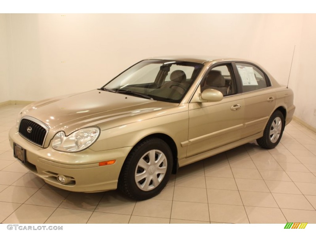 Desert Sand 2002 Hyundai Sonata Standard Sonata Model Exterior Photo #80326508