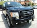Black - F150 FX4 SuperCrew 4x4 Photo No. 2