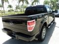 Black - F150 FX4 SuperCrew 4x4 Photo No. 6