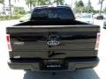 Black - F150 FX4 SuperCrew 4x4 Photo No. 7