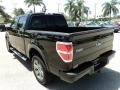 Black - F150 FX4 SuperCrew 4x4 Photo No. 9