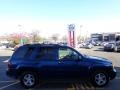Superior Blue Metallic - TrailBlazer LS 4x4 Photo No. 5