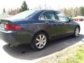 Carbon Gray Pearl - TSX Sedan Photo No. 5
