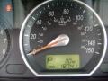 Steel Gray - Sonata GLS Photo No. 8