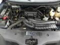 5.4 Liter SOHC 24-Valve Triton V8 2005 Ford F150 XLT Regular Cab 4x4 Engine