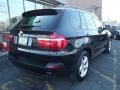 2010 Carbon Black Metallic BMW X5 xDrive30i  photo #3