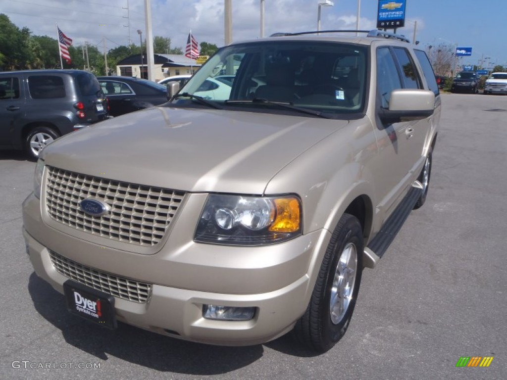 Cashmere Tri Coat Metallic Ford Expedition