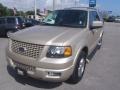 Cashmere Tri Coat Metallic 2005 Ford Expedition Limited