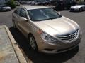 Camel Pearl - Sonata GLS Photo No. 1