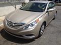 Camel Pearl - Sonata GLS Photo No. 2