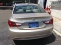 Camel Pearl - Sonata GLS Photo No. 4