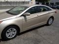 Camel Pearl - Sonata GLS Photo No. 5