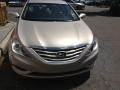 Camel Pearl - Sonata GLS Photo No. 6