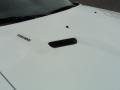 Bright White - Challenger R/T Plus Photo No. 27