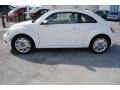 Candy White - Beetle 2.5L Photo No. 4